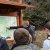 Bilder 2017 - Erdkunde Exkursion
