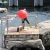 Bilder 2017 - 9b - Ausflug in den Zoo