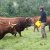 Bilder 2016 - Besuch beim Biobauern