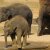 Bilder 2017 - 9b - Ausflug in den Zoo