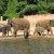 Bilder 2017 - 9b - Ausflug in den Zoo